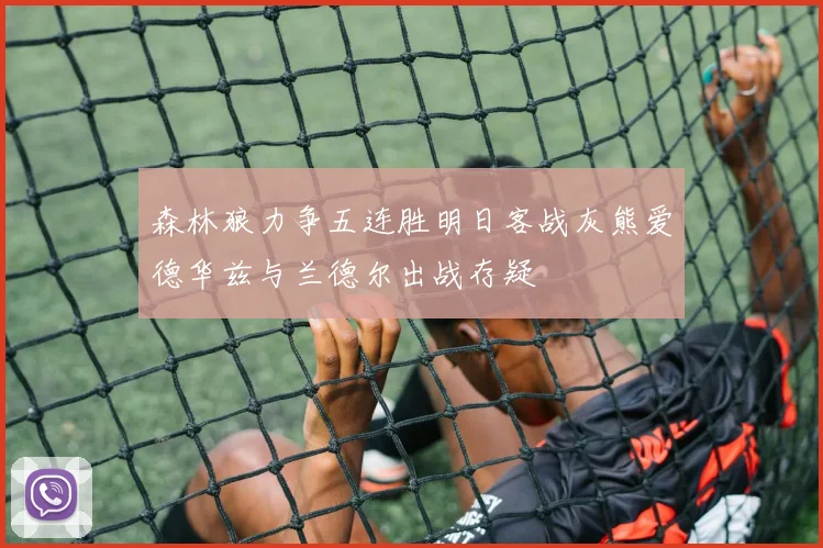 森林狼力争五连胜明日客战灰熊爱德华兹与兰德尔出战存疑