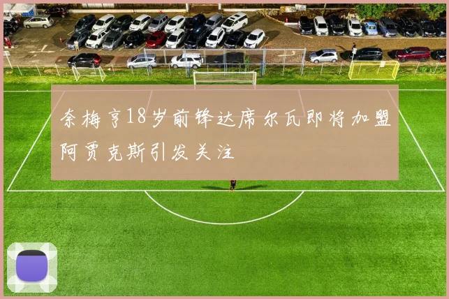 奈梅亨18岁前锋达席尔瓦即将加盟阿贾克斯引发关注